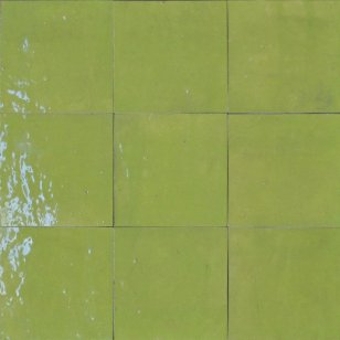 VERT TENDRE N°22
